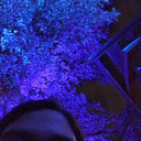 ghostsinmygraveyard avatar