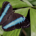 ghostvee-archives avatar