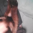 ghostymcshooty avatar