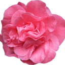 ghoulfriendpls-blog avatar