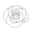 ghurabafidunyaaa avatar