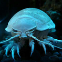 giant-isopod avatar