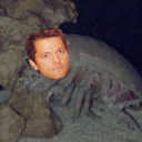 giant-isopods avatar