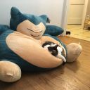 giant-snorlax avatar