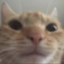 giantcheeseball avatar