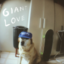 giantlovemusic avatar