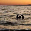 gidenlervekalanlar avatar