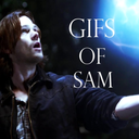 gifsofsam avatar