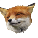 gigapuddingfox avatar