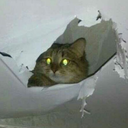 gigayntic-softlord-supreme avatar