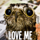 gigglesinthenight avatar