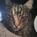 gigglingonthego avatar