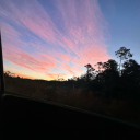 gigibowe-blog avatar