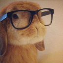 gigiiiiiiiiisworld avatar