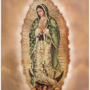 gigislandofrandom avatar