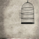 gildedbirdcage-if avatar