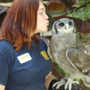 gilliebeanbaby avatar