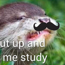 gimmenameplease avatar