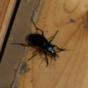 gimmequeerbooksnow avatar