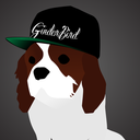 ginderbird avatar