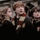 ginevraweasiey avatar