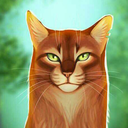 gingalover360-blog avatar