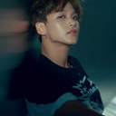 ginger-bread-french avatar