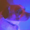 ginger-gotgaf-blog avatar