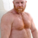ginger-studs avatar