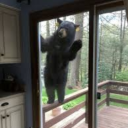 gingeraleguzzler avatar