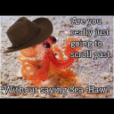 gingerbutnotaginger avatar