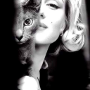 gingerhawk2023 avatar