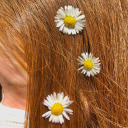 gingeristhinking avatar