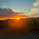 gingerluver25 avatar