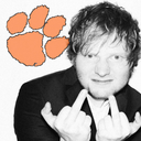 gingerpawfection avatar