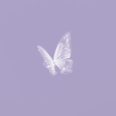 gingerrolldoll avatar