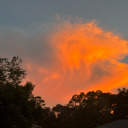 ginny-fell-first avatar