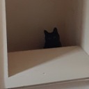 ginnywasafriendofmine avatar