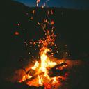 giorgiacellamare avatar