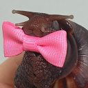 giornosnails avatar