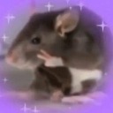 giovannapizza avatar