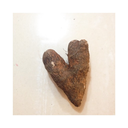 gipaolita avatar