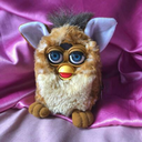 giraffe-furby-offical avatar