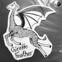 giraffefeather avatar