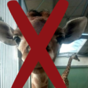 giraffehater999 avatar