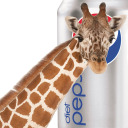 giraffesanddietpepsi avatar