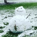 giraffescandanceiftheywantto avatar