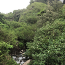 giraffesloveblunts avatar