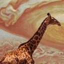 giraffesonjupiter avatar