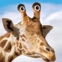 giraphking avatar